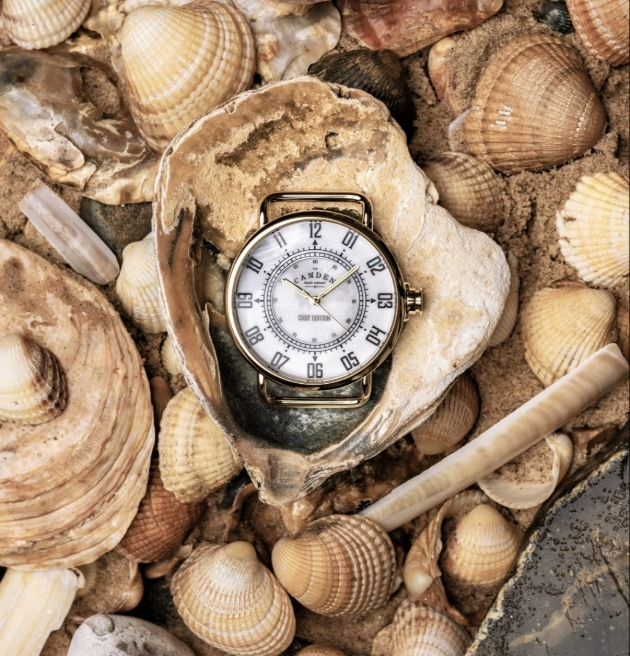 A watch surrounded by sea shells